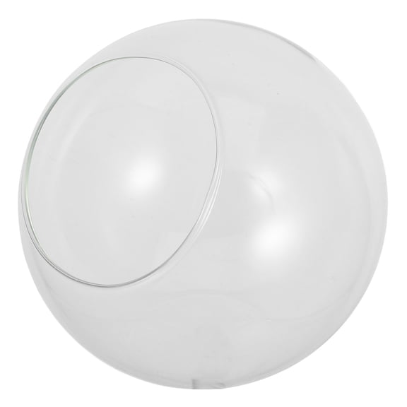 WHAMVOX Plant Terrarium Display:  Succulent Air Plant Planter Globe Microlandschaft House - Slant Cut Round Bowl Glass Centerpiece Bowl