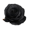 thumbnail image 1 of 1Pc Ornamental Artificial Rose Realistic Faux Silk Flower Reusable Fake Black Floral Decor for Indoor, 1 of 6