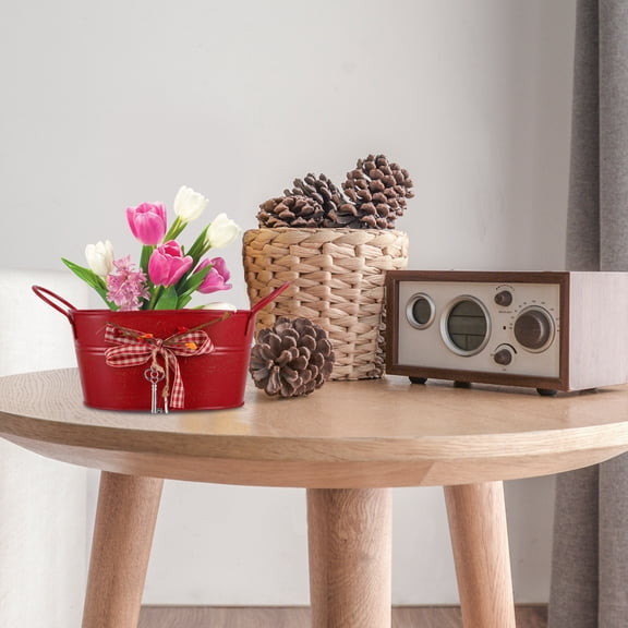 Tineasur Elegant Red Iron Flowerpot for Storage and Garden Decoration