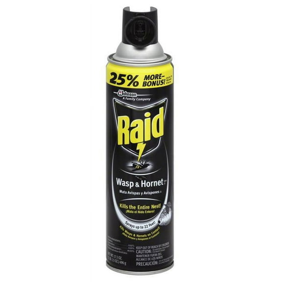 1Pc Raid 51367 Wasp & Hornet Spray, 17.5 Oz.