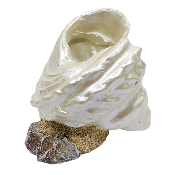 VERDANVERSE 1Pc Simulation Conch Resin Sculpture for Home Garden Balcony Decorative Display
