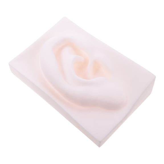 1Pc Sketch Art Model for Students Painting and Vivid Organ Sculpture Home Decoration