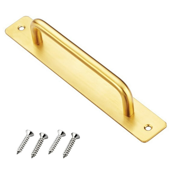 1Pc Stainless Steel Pull Push Door Handle Plate for Wooden Door Composite Door, 200x20mm