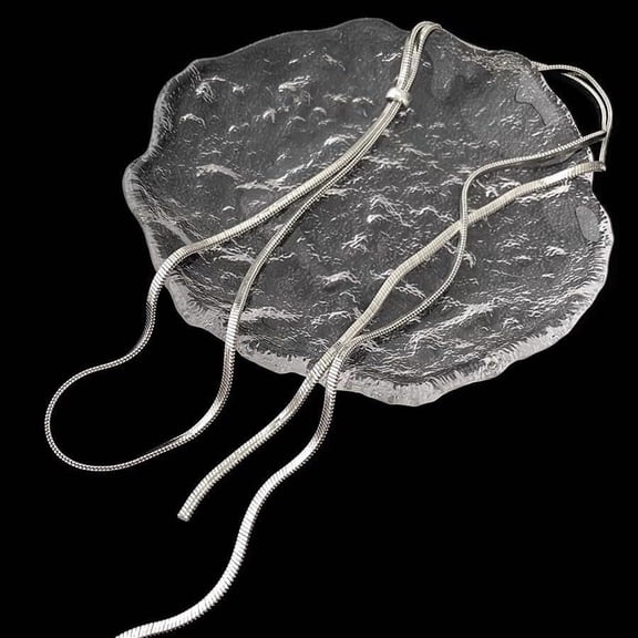 1Pc Stainless Steel Snake Chain Necklace Slider Lariat Design 31.89 inch Stainless Steel Color Jewelry for Women Daily Wear Suitable for a Variety of Occasions Stainless Steel