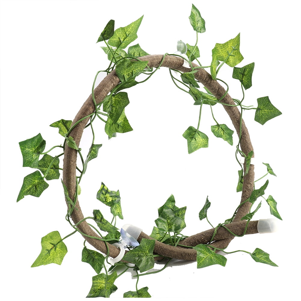 1Pc Vine Reptile Rattan, 3.28Ft Caple Box Rain Forest Landscaping ...
