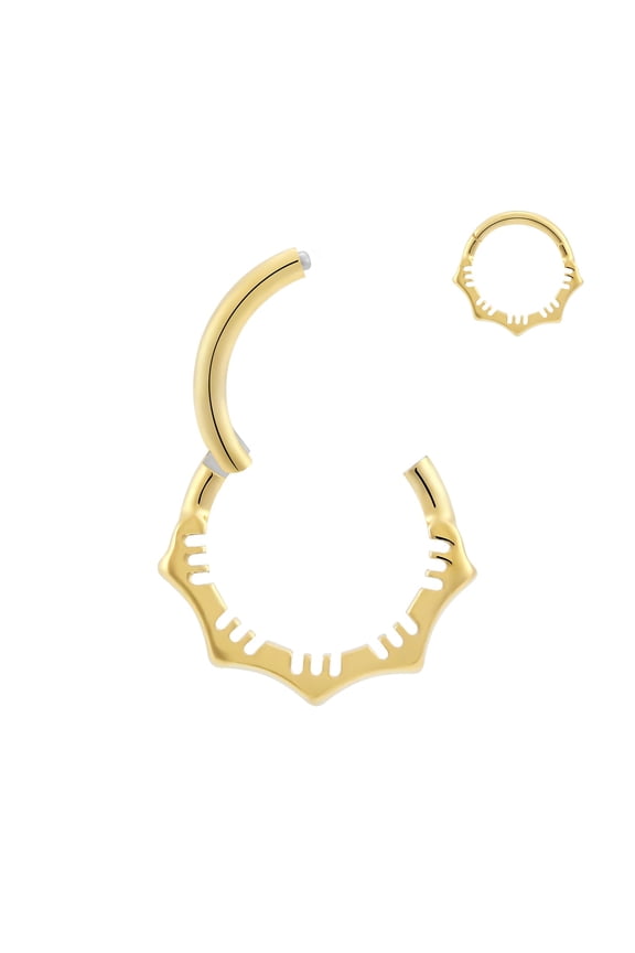 1Pcs 16G Titanium Nose Rings Silver Flower Hinged Septum Ring 16 Gauge 8mm Daith Hoop Earring Stacked Septum Rook Clicker Piercing