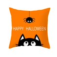 thumbnail image 1 of 1Pcs Black Cat Throw Pillow Cover 18 x 18 Inch for Thanksgiving Halloween Decorative Fall Harvest Easter, Cotton Linen Cushion Cover Pillow Case for Car Sofa Bed Couch 45 x 45 CM, 1 of 3