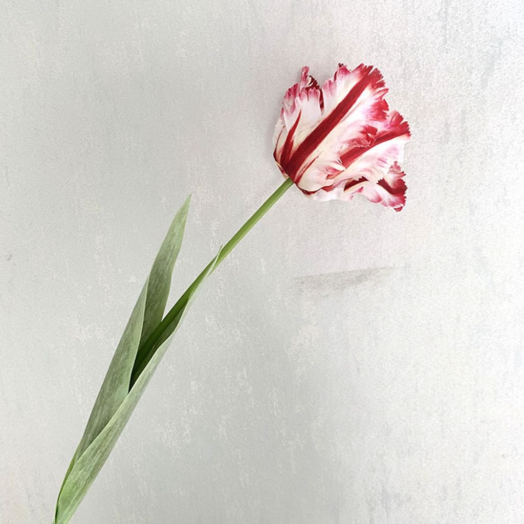 1Pcs Colorful 3D Parrot Tulips Artificial Flowers Faux Tulips Real Touch Long Stem Fake Tulips Bouquet for Home Office Wedding Table Decor 26.7 RED