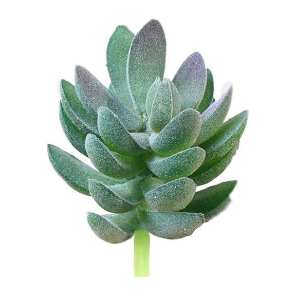 1Pcs Flocking Succulent Artificial Plants Fake Mini Lotus For Home Decor 2023 Unpotted Garden Arrange Decoration Accessories