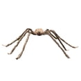 thumbnail image 1 of 1Pcs Giant Spider Halloween Decorations, Outdoor Indoor Decor Scary Large Tarantula Prop with Red LED Eyes for Yard Lawn Haunted House Party Setup Brown 47.2 Inch, 1 of 8
