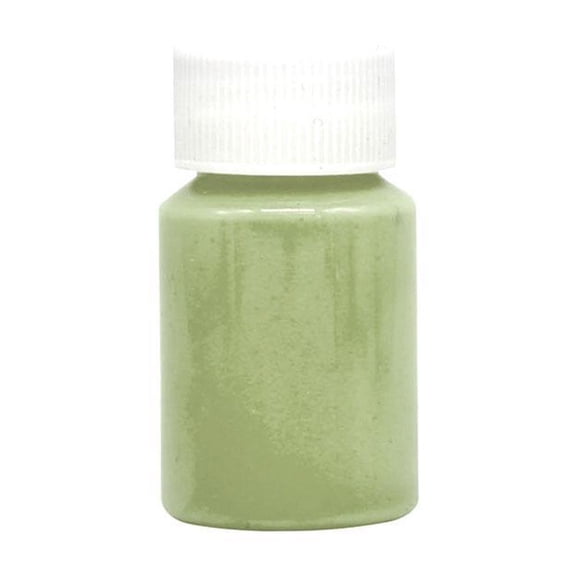 1Pcs Glow-On Luminous Paint For Gun-Sights 20g Works of Painting New Art