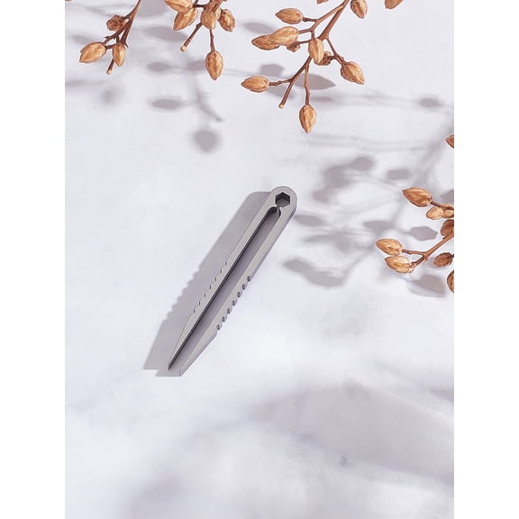 1Pcs Platinum Titanium Tweezers Mini Alloy Tip Tweezers Camping Gear Tool for Camping and Outdoor Activities Travel Mini Tool 4.5x0.6x0.4cm Metal Platinum