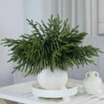 thumbnail image 1 of 1Pcs Real Touch Pine Branch,17.7"Artificial Christmas Green Plants Branches Faux Greenery Stem Fake Cedar Pine Picks Faux Cedar Pine Stem for Vase DIY Crafts Garland Wreath Xmas Indoor Home Decor, 1 of 9