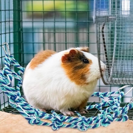 1Pcs Rope Bridge Bird Ladder Small Animal Habitat Hamster Cage Accessories Rat Toys Rat Climbing Rope Net Pet Hammock for Hamsters Rats Parrots Blue