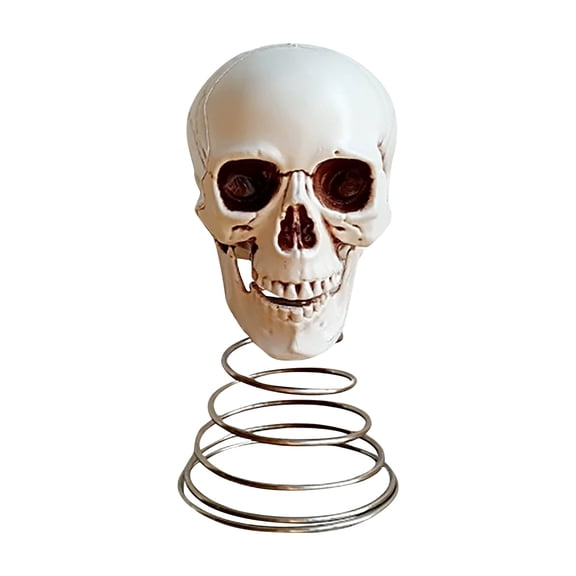 1Pcs Skeleton Halloween Decorations, Human Skull Model Adult Plastic Realistic Head Bone Statue with Spring for Indoor Outdoor Tabletop Home Decor Haunted House 3.8x7.5 Inch White