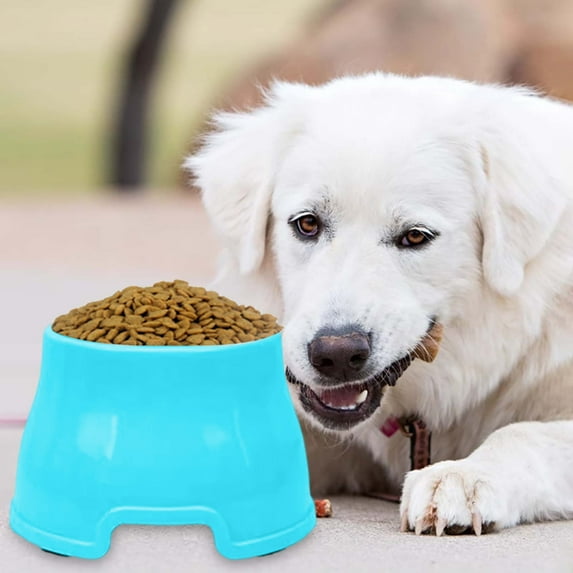 1Pcs Spaniel Bowls for Dogs Long Ears Long Eared Dog Bowl, No-Spill Food & Water Bowls for Cocker Spaniels, Beagles, & Long-Eared Breeds, Non- Design, Easy to Clean