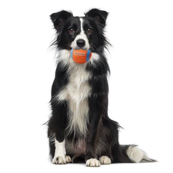 1Pcs Squeaky Dog Toys Soft Latex Rubber Squeaky Dog Ball For Small Puppies And Medium Dogs Durable Dog Squeak Toys Interactive Play Soccer Ball