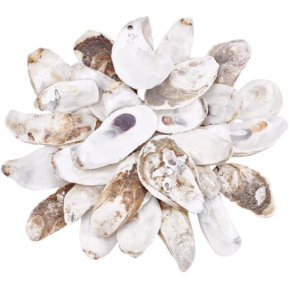 1Set 30Pcs Oyster Shell White 70~120mm 10pcs/style