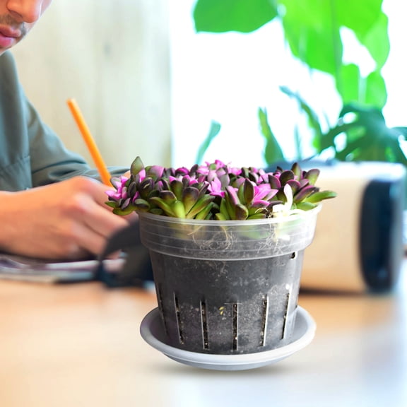 1Set Clear Plastic Plant Pots with Infiltration Design for Succulents and Orchids