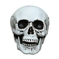 thumbnail image 1 of TABLZONE White Plastic Model Skeleton Decoration for Party Home Set, 1 of 7