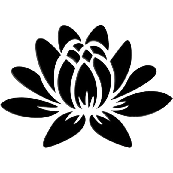1Set Mirror Wall Stickers Self Adhesive Acrylic Mirror Sheets for Home Living Room Bedroom Decor Lotus Black 35x25cm craft