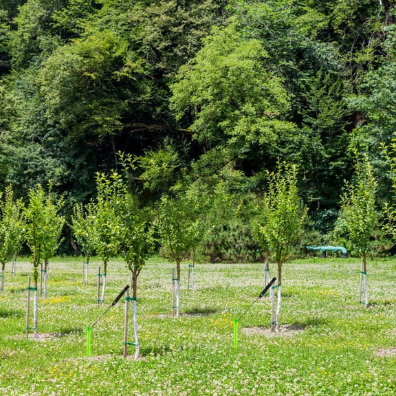 1Set Tree Staking Tool Kit with Durable Plastic Stakes and Nylon Tree Straps for Outdoor Use