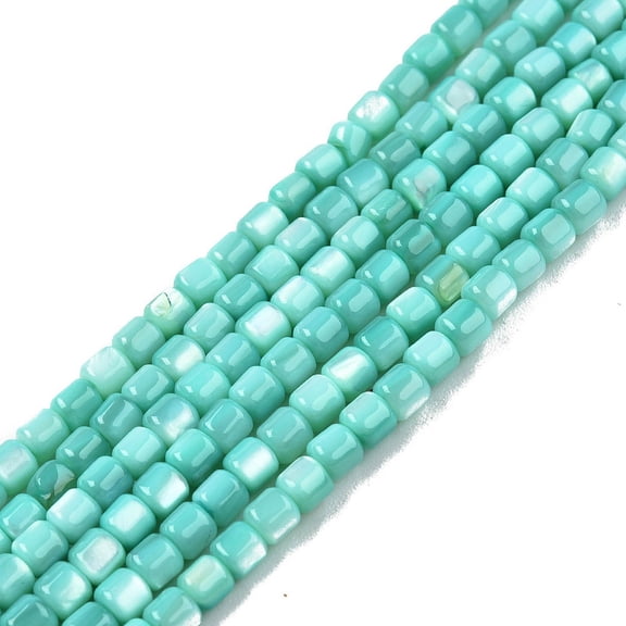 1Strand Natural Freshwater Shell Beads Strands Dyed Column Turquoise 3.5x3.5mm Hole: 0.8mm 110~113pcs/strand 14.69 inch~15.08 inch(37.3~38.3cm)