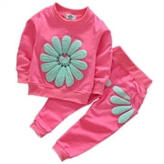 1T 2T 3T 4T Kids Baby Girl Outfits Set Long Sleeve Sweatshirts Tops Pants Outfits Clothing Christmas Gifts