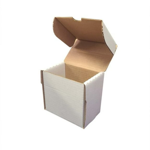 1X BCW Semi-Rigid #1 Storage Box - 5"