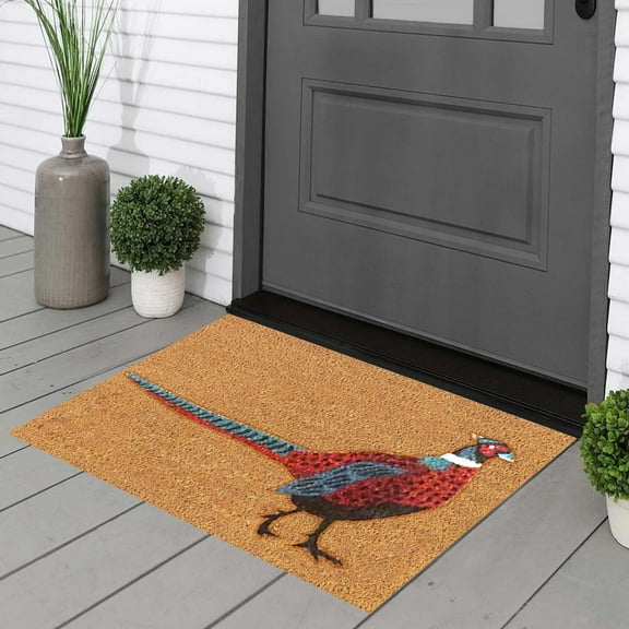 1X Floor Mat Long Male Printed Brown Classic Doorstep Polyester Material Floor Mat Carpet