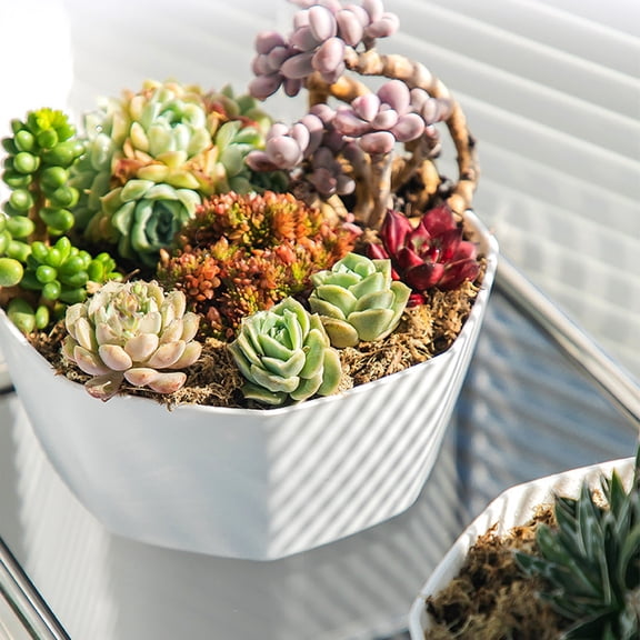 1X Flower Pot off Promotions! Net Celebrity Creative Personality Plastic Resin Plant Fleshy Flower Pot Thickened Nordic Simple Large Diameter Medium Ad Horticultural Water Basin Clearance Sale