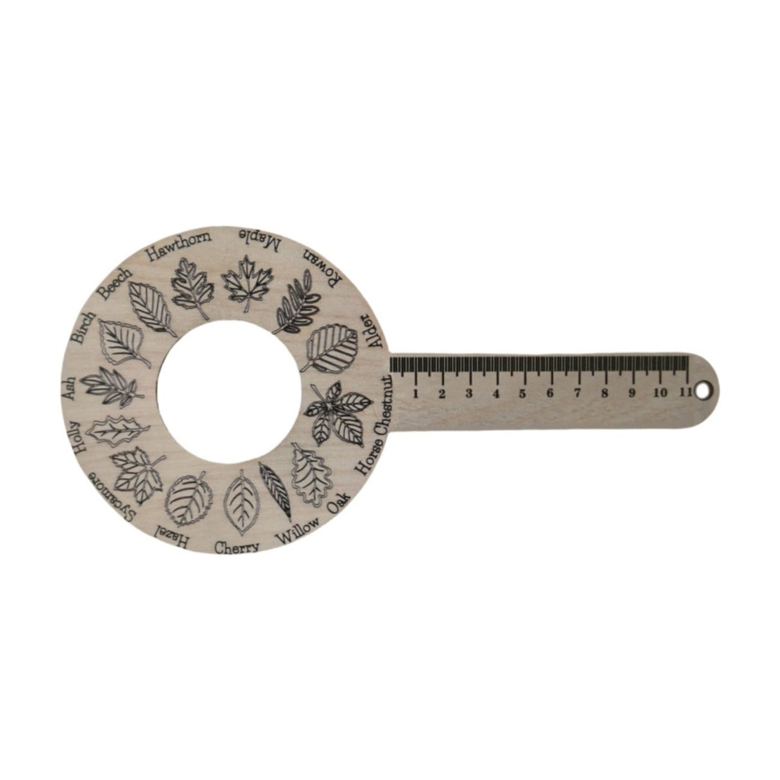 1X Plant Leaf Fall Observation Tray Ruler, Kaireo Office&Craft