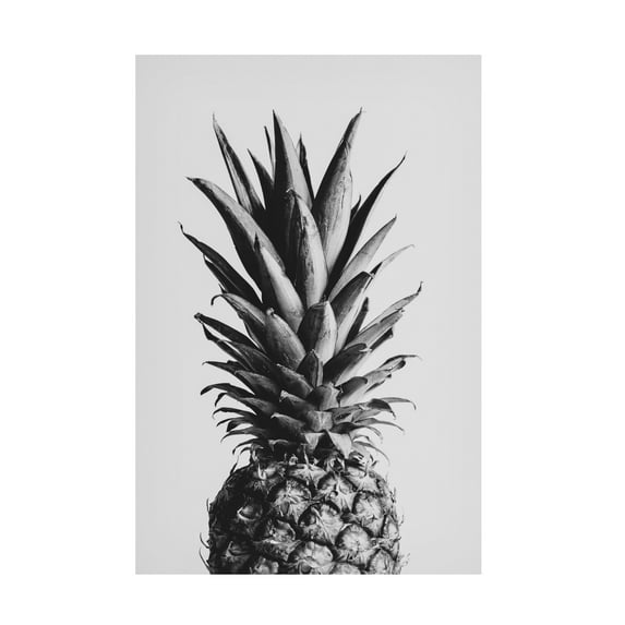 1X Studio Iii 'Pineapple Black A White 02' Canvas Art