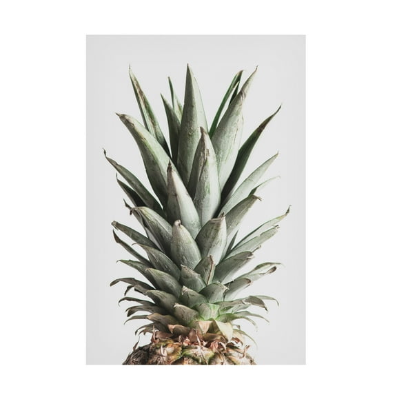 1X Studio Iii 'Pineapple Natural 02' Canvas Art