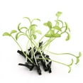 thumbnail image 1 of 1X Super Cute Kawaii Grass Flower Leaf Headwear Hair Accessories Hair Clips D9R6, 1 of 9
