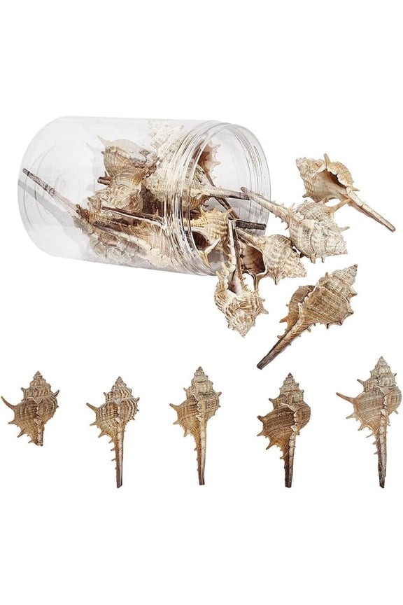 1box 1 Box 130g Natural White Conch Shell Spiral Seashells Ocean Beach Craft Charms Sea Shells Bulk Undrilled Shells for Earring Necklace Bracelet Jewelry Making Vase Filler Party Decoration White