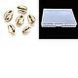 1box Shell Beads Cowrie Shells Golden