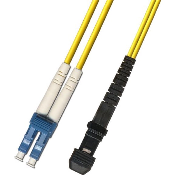 1ft LC to MTRJ Singlemode Duplex Fiber Optic Cable (9/125) 0.3M Meter