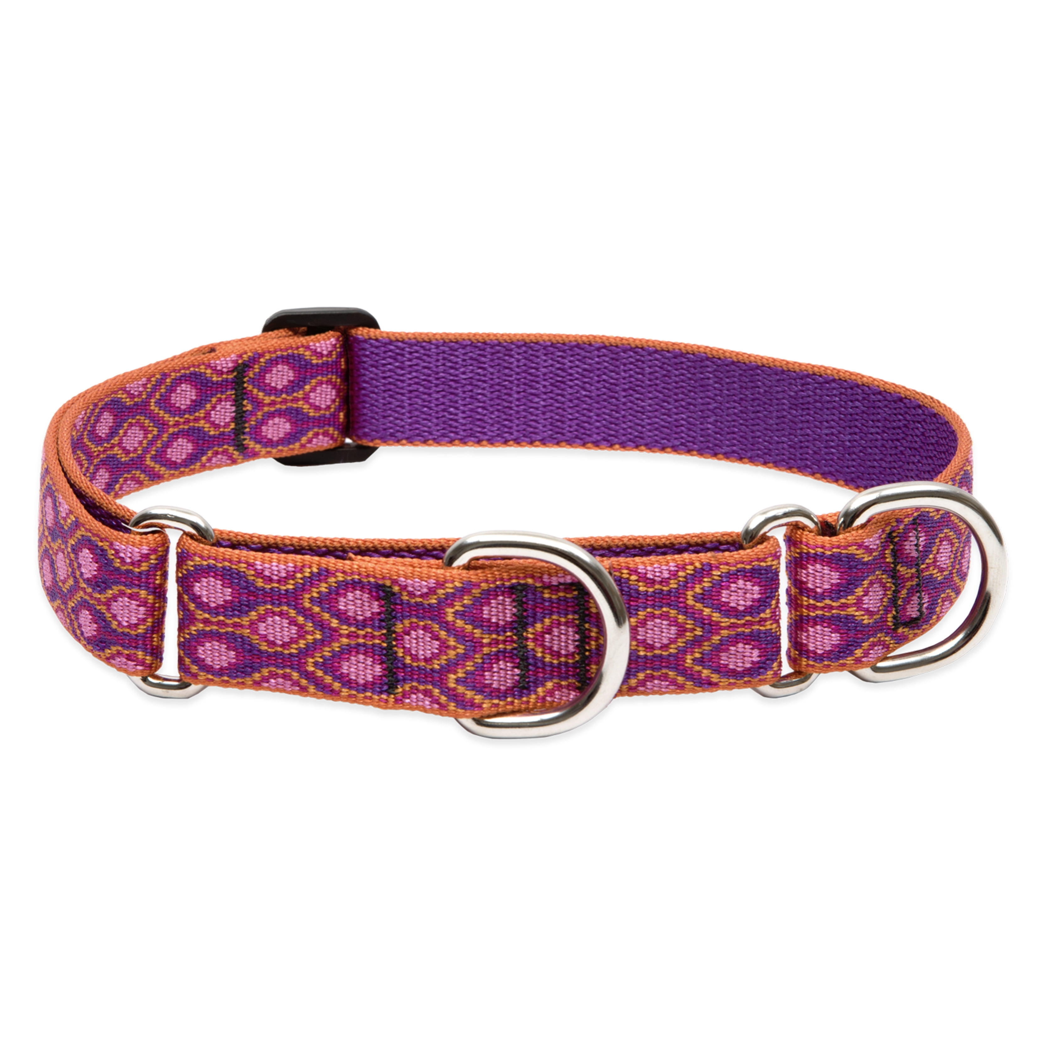 LupinePet Originals 1" Alpen Glow 15-22" Martingale Collar for Medium and Larger Dogs