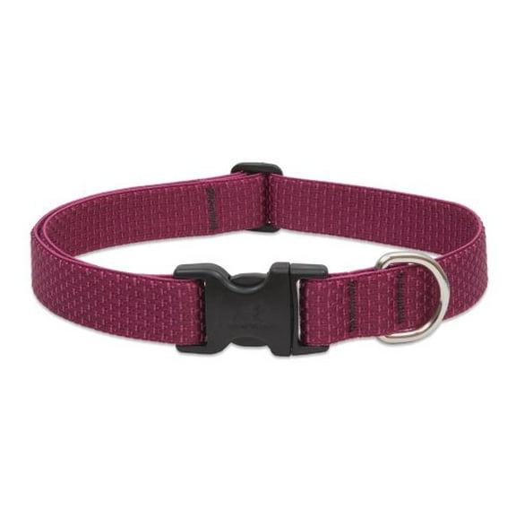1in Berry 16-28 Adj Dog Collar