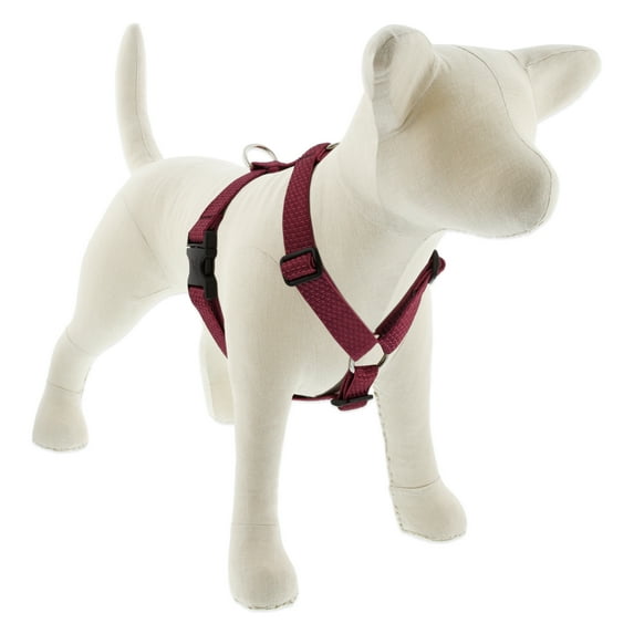 1in Berry 24-38 Roman Dog Harness