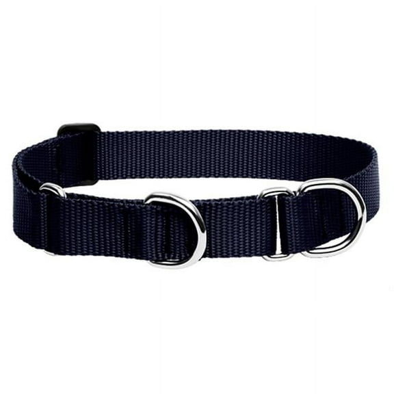 LupinePet Basics 1" Black 15-22" Martingale Collar for Medium and Larger Dogs