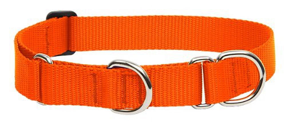 LupinePet Basics 1" Blaze Orange 15-22" Martingale Collar for Medium and Larger Dogs