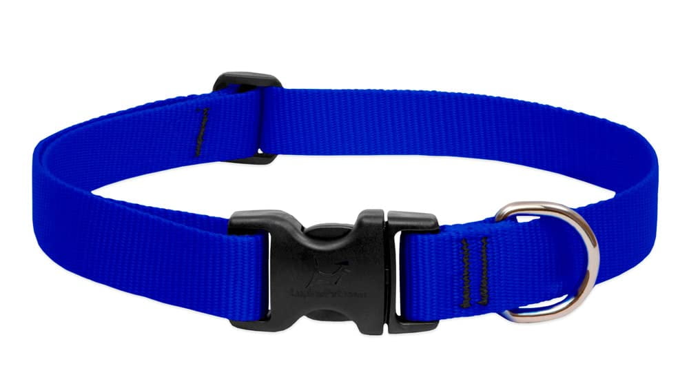 LupinePet Basic Solids Blue Blue Nylon Dog Adjustable Collar