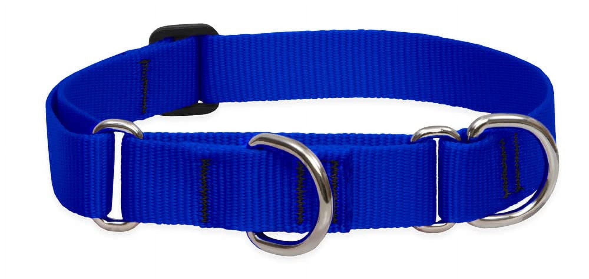 LupinePet Basics 1" Blue 19-27" Martingale Collar for Large Dogs