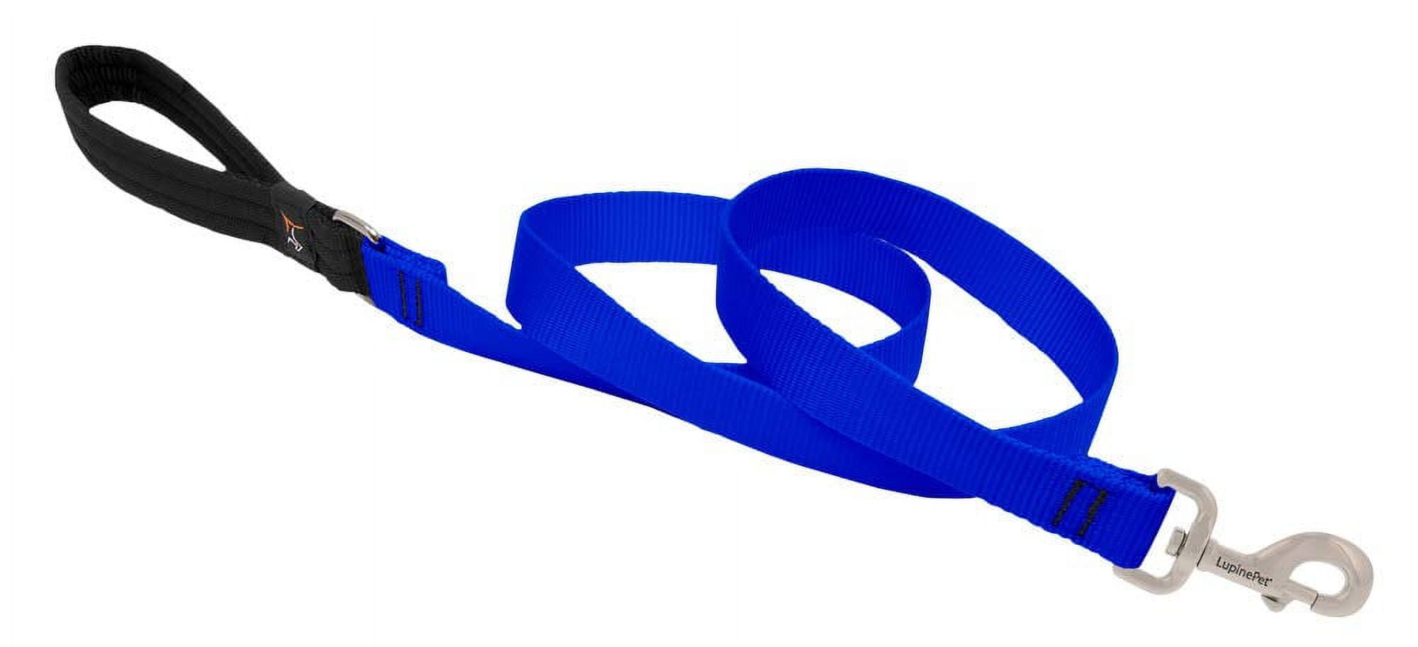 1in Blue 4ft Dog Leash