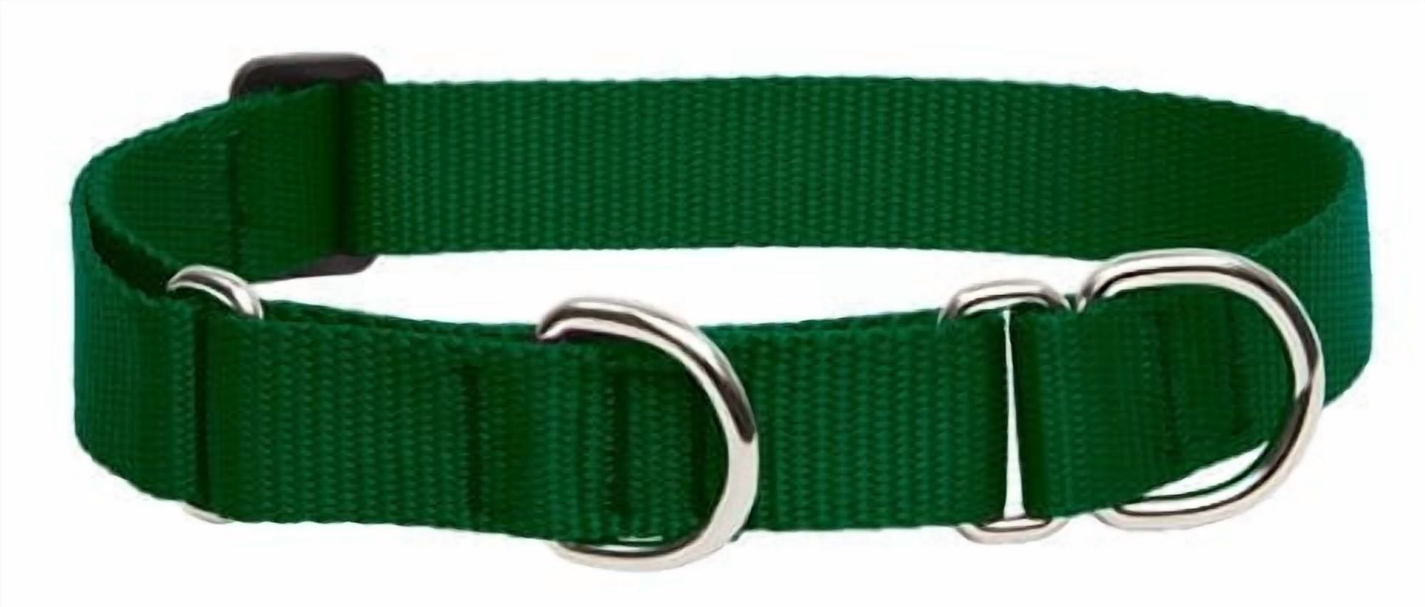 1in Green 15-22 Martingale Dog Collar