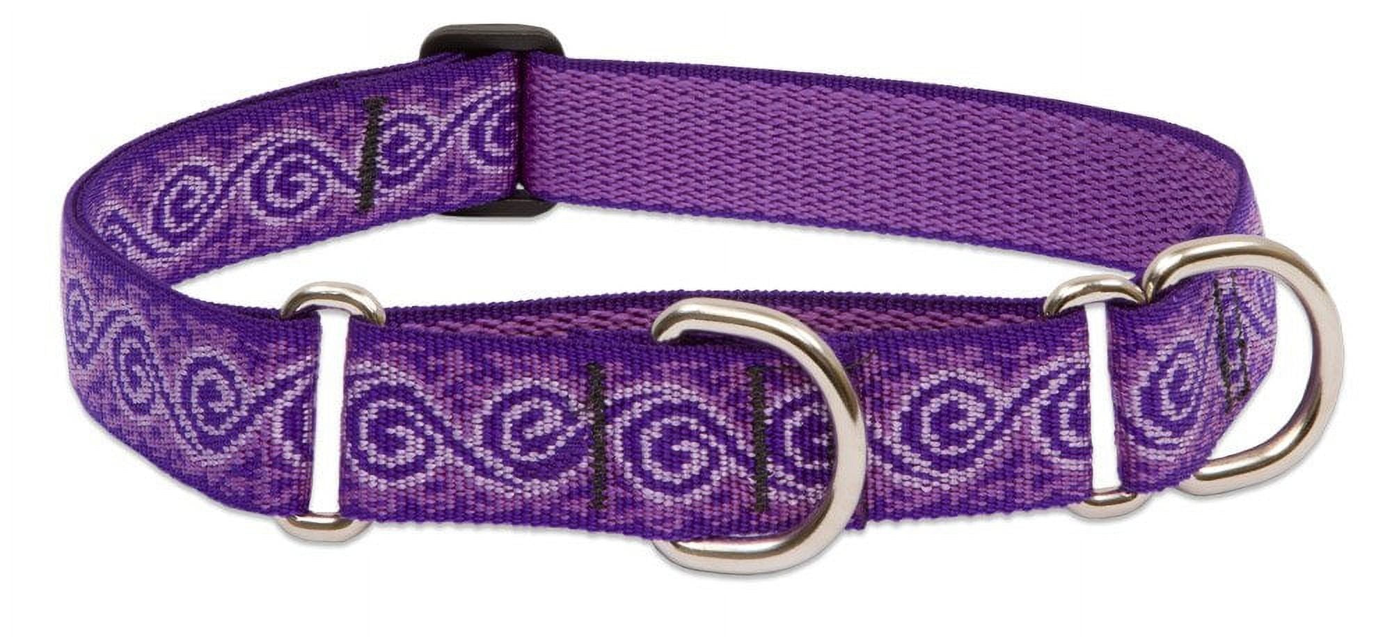 LupinePet Originals 1" Jelly Roll 19-27" Martingale Collar for Large Dogs