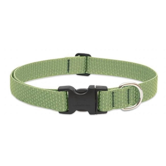 1in Moss 12-20 Adj Dog Collar