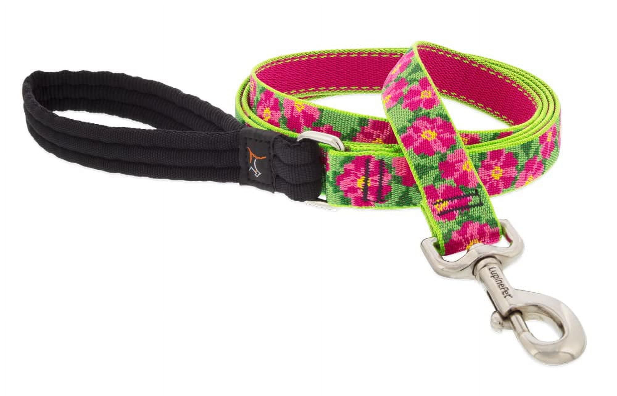 Lupine Dog Leash 6-Foot by 1" Wide PetuniasÊ